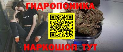 spice Бузулук