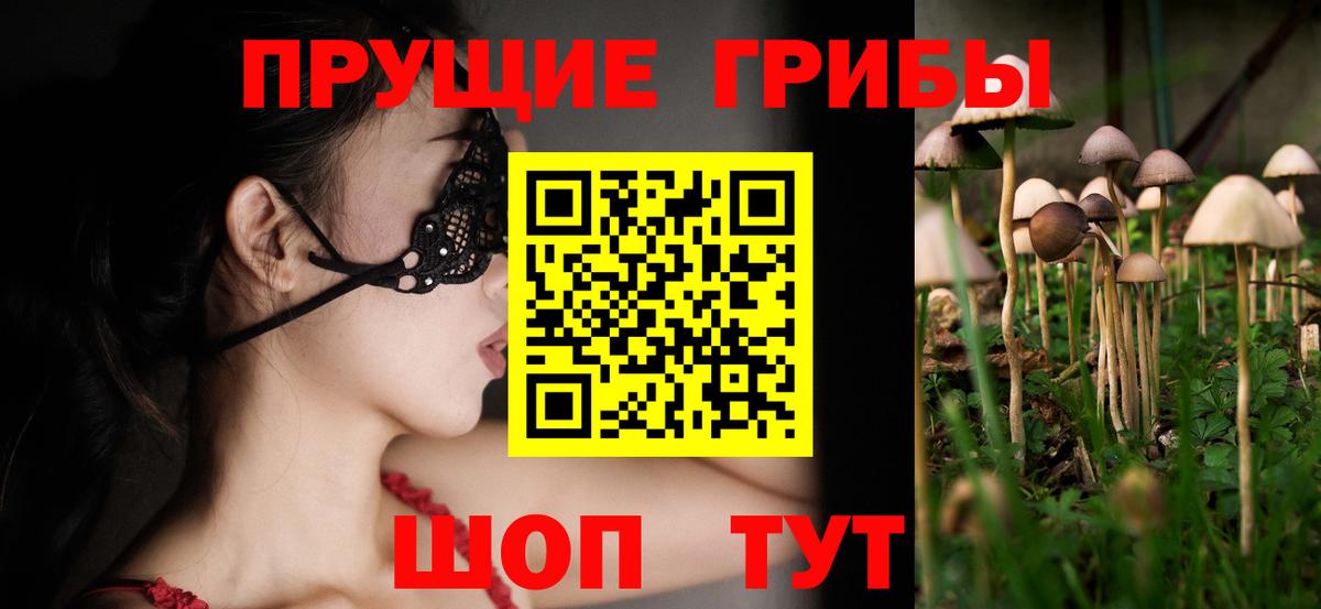 Тосно  Галлюциногенные грибы MAGIC MUSHROOMS  Псилоцибиновые грибы Cubensis  Вход с VPN 