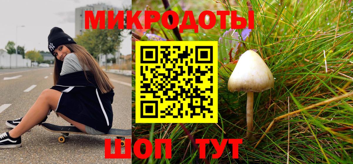 Псилоцибиновые грибы мицелий Тосно